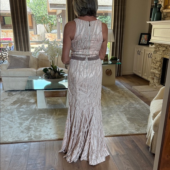 Jay Godfrey Blush Gown with Beaded Waist - Picture 10 of 11